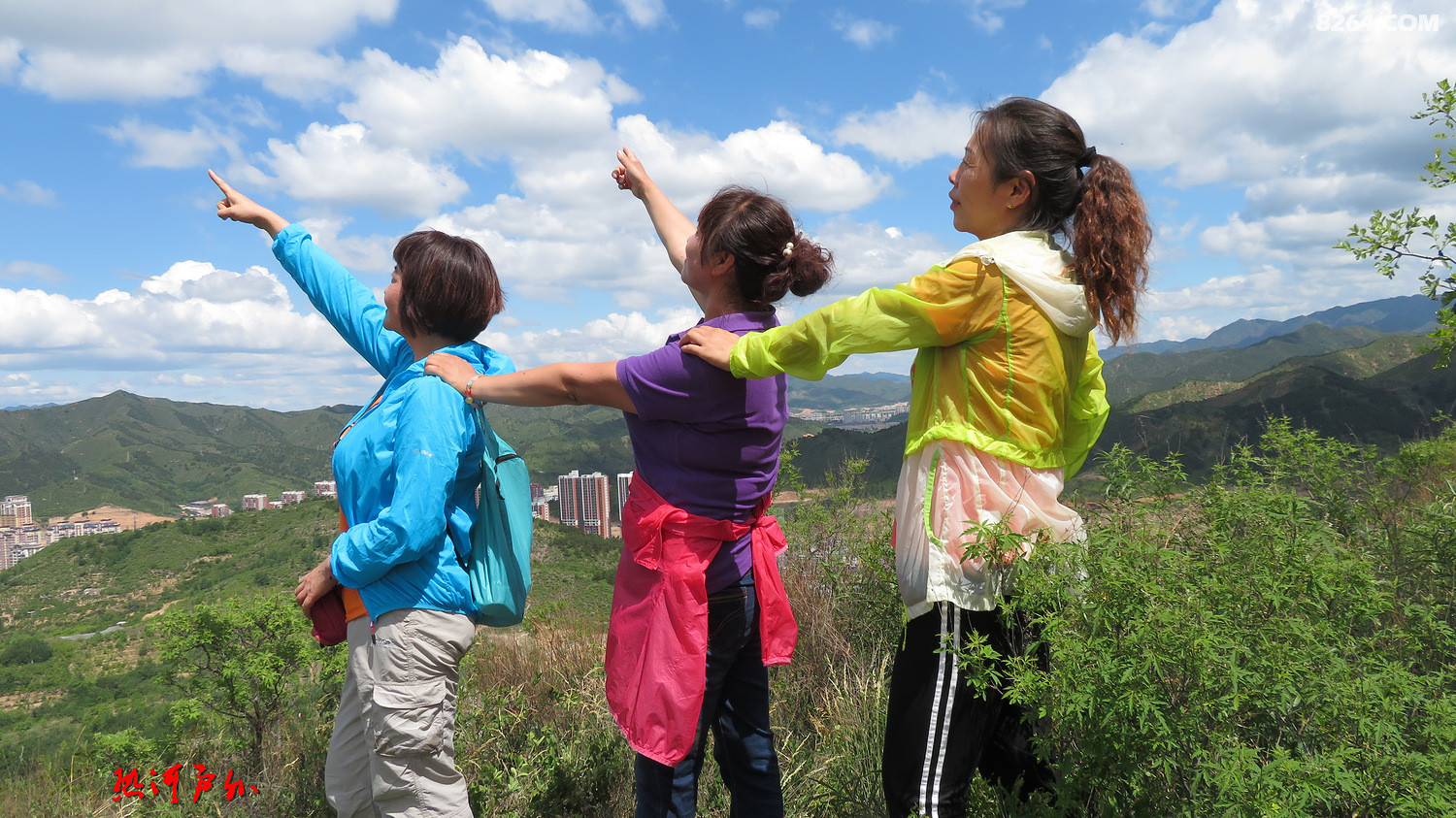 一条绳索众人合力攀爬登顶享受一个不一样的端午节登顶元宝山