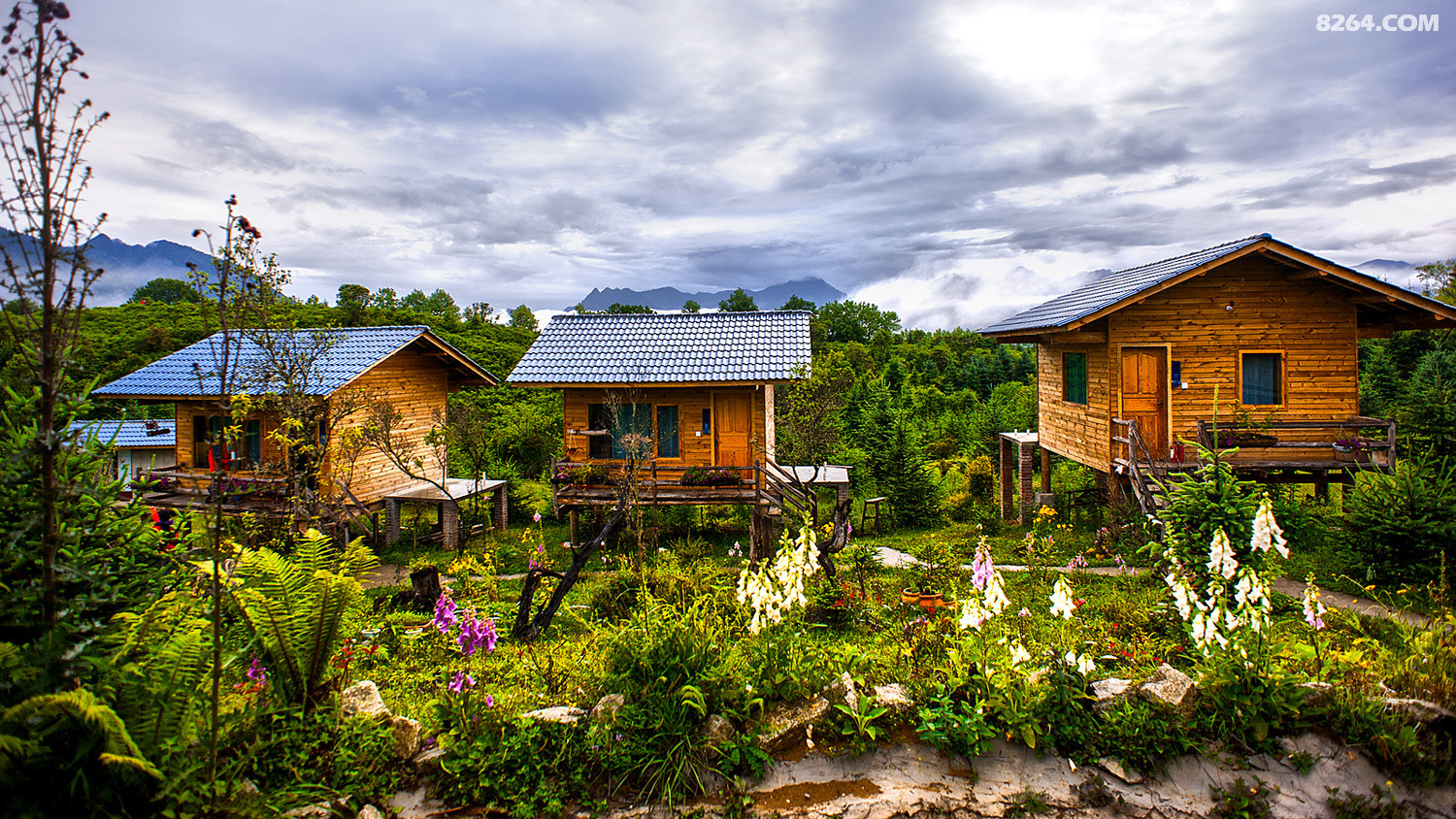 梦想开始的山坡海螺沟七号营地