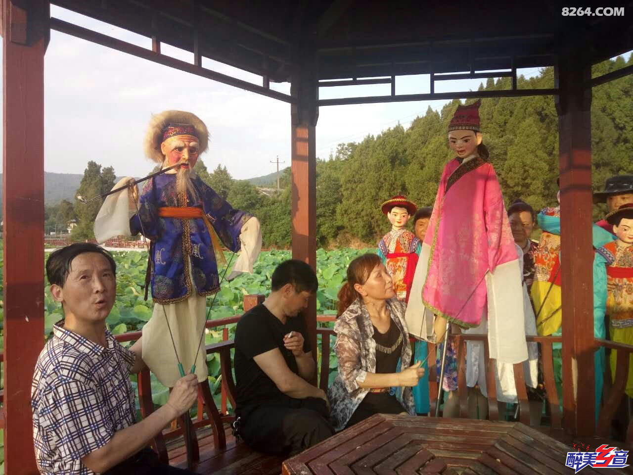 17.jpg
