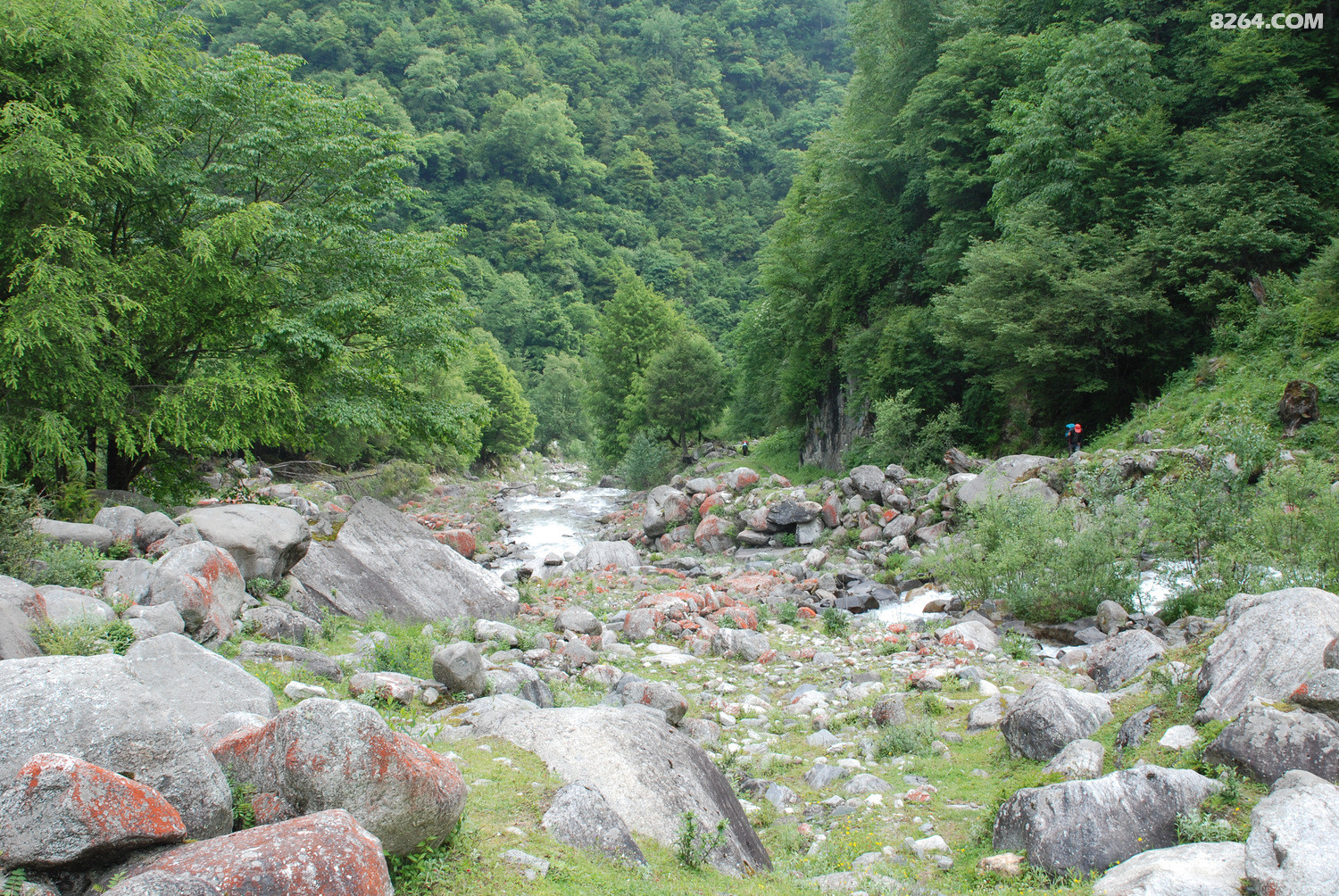 DSC_0013.JPG