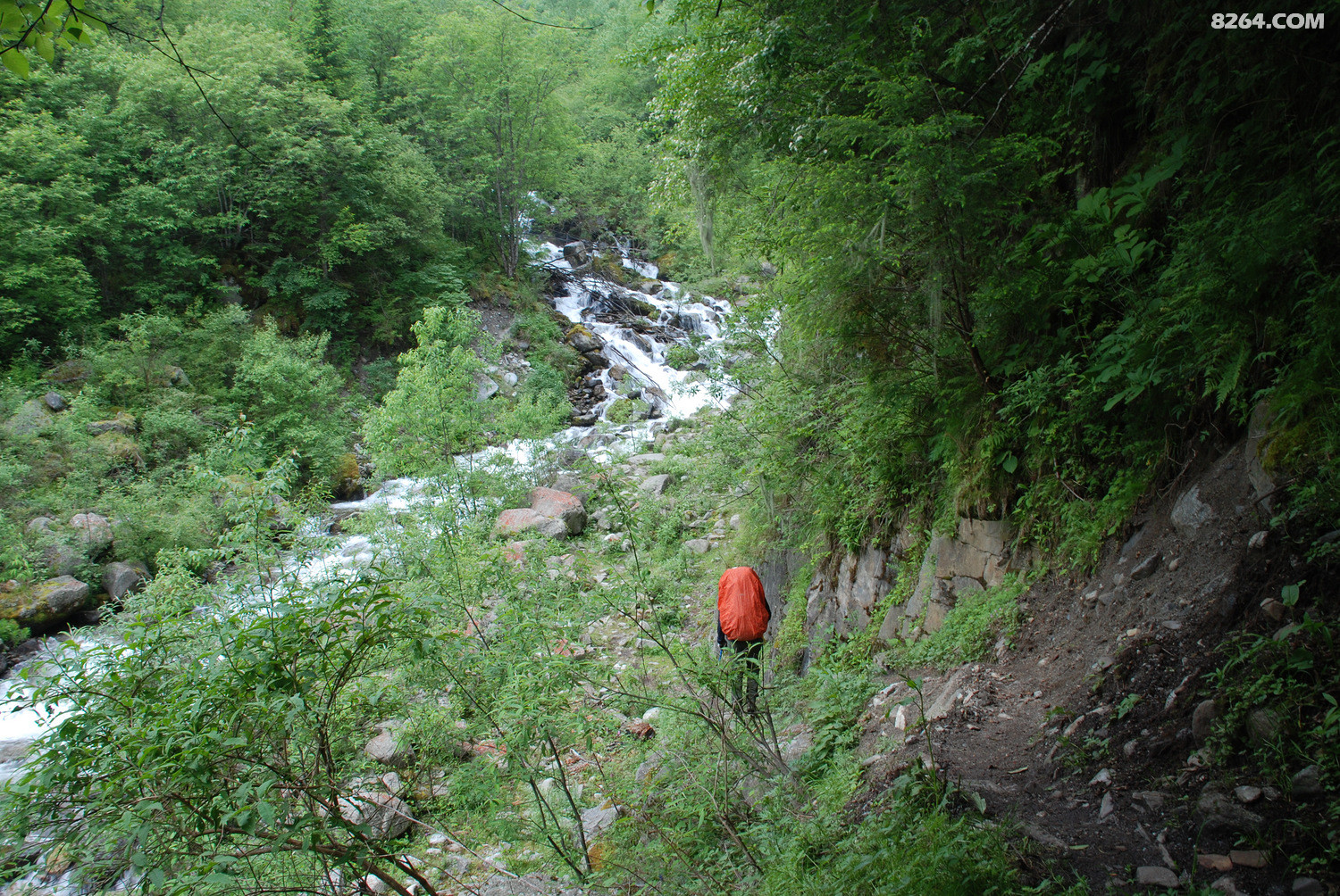 DSC_0025.JPG