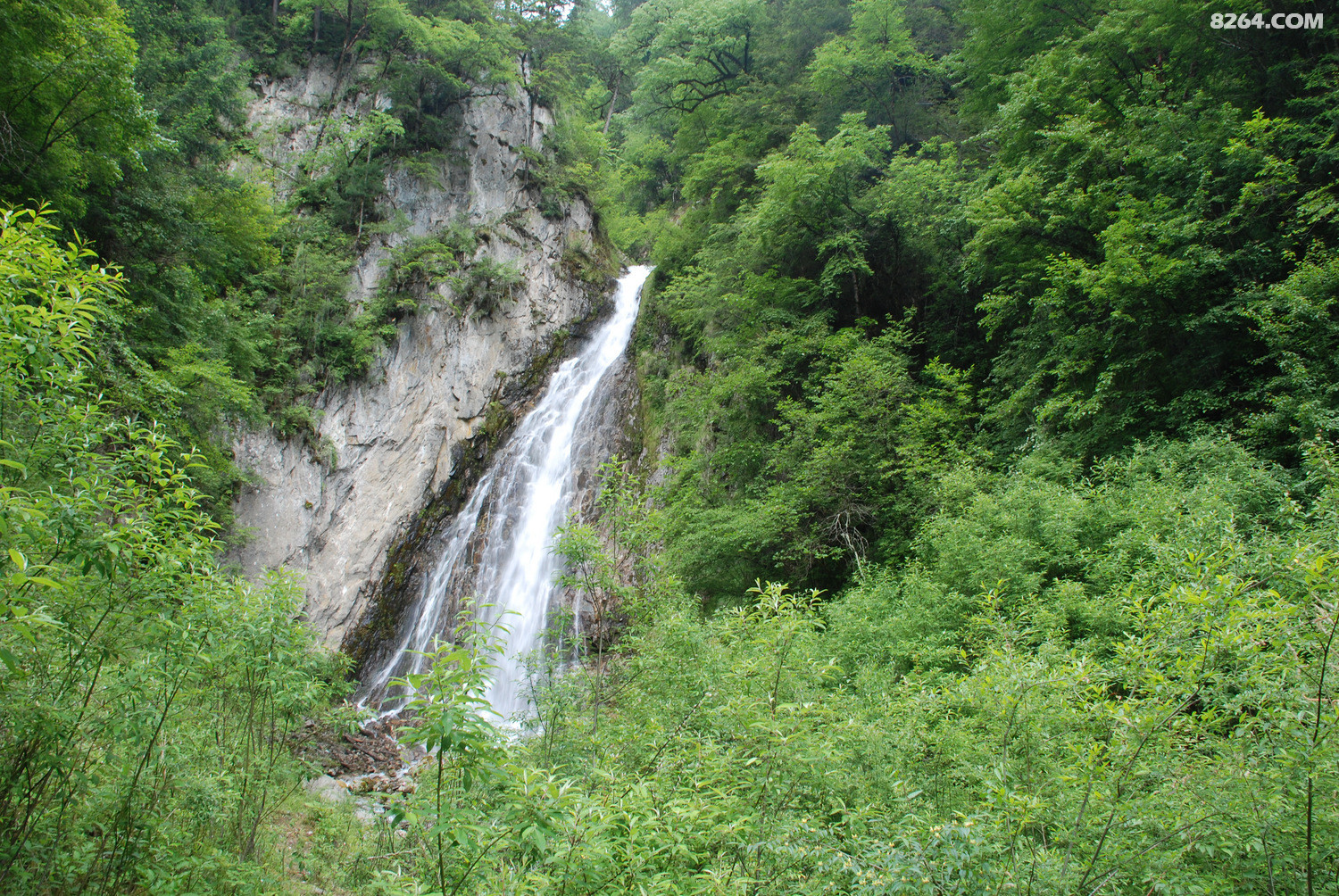 DSC_0026.JPG