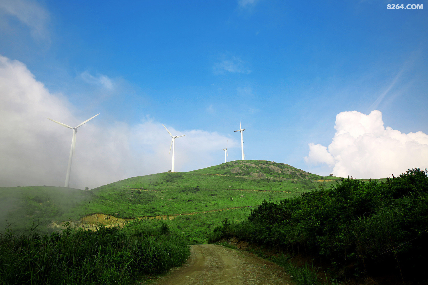 浙江金华东白山摄于2016年6月