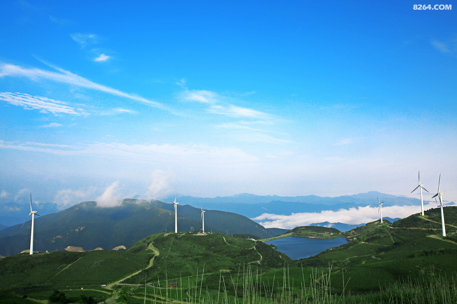 浙江金华东白山摄于2016年6月