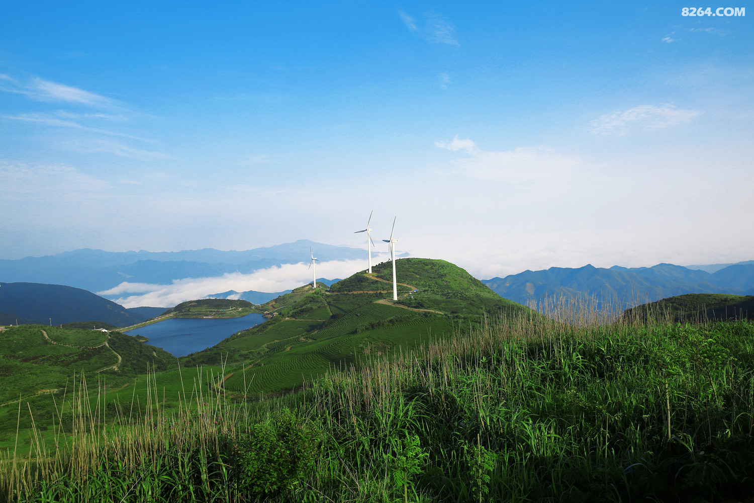 浙江金华东白山摄于2016年6月