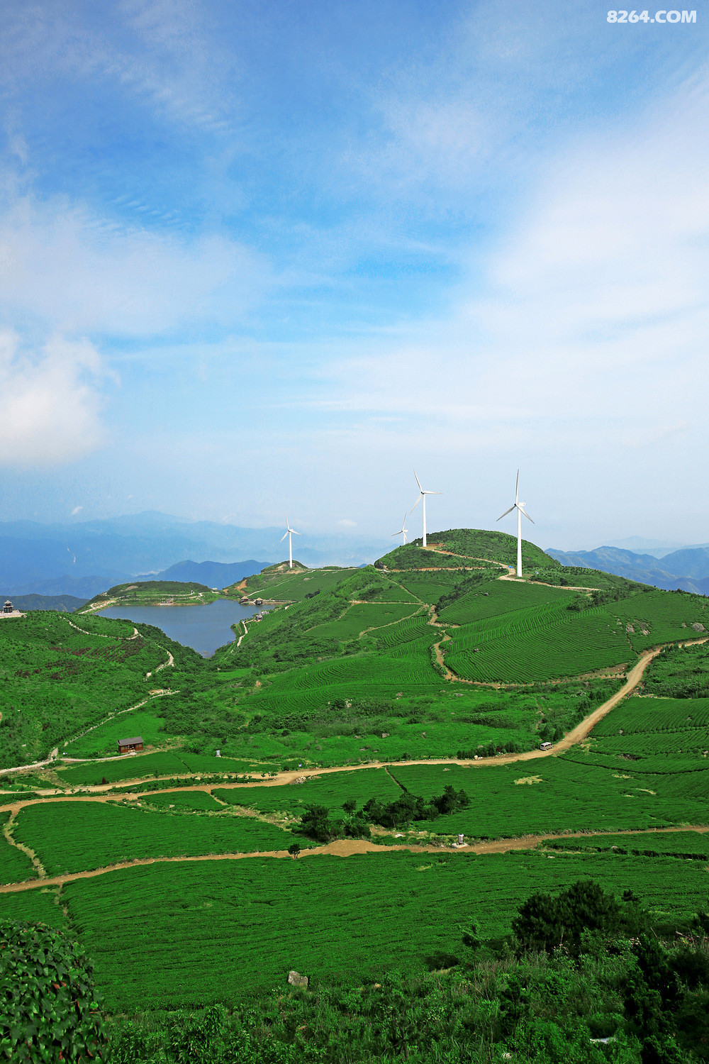 浙江金华东白山摄于2016年6月