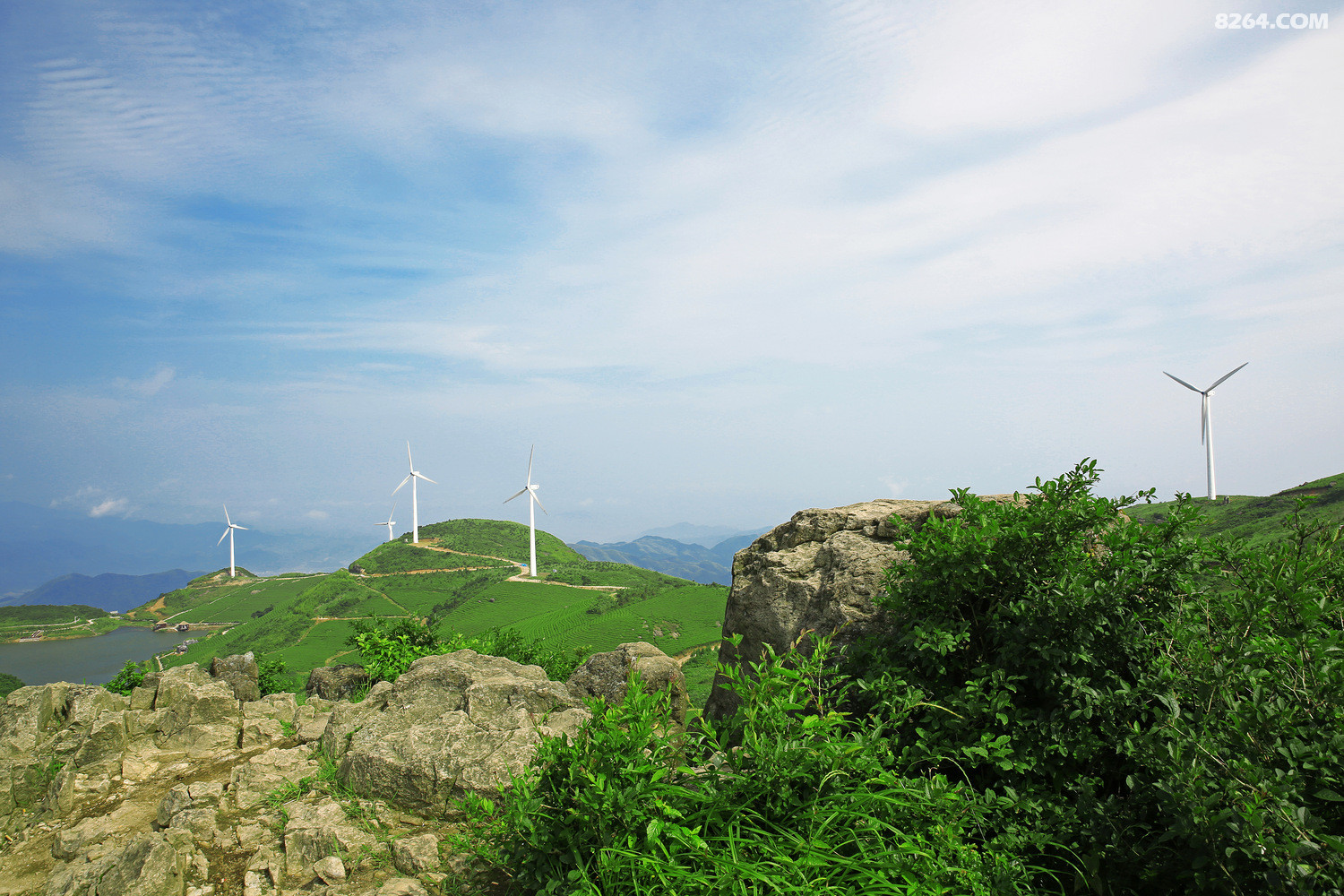 浙江金华东白山摄于2016年6月