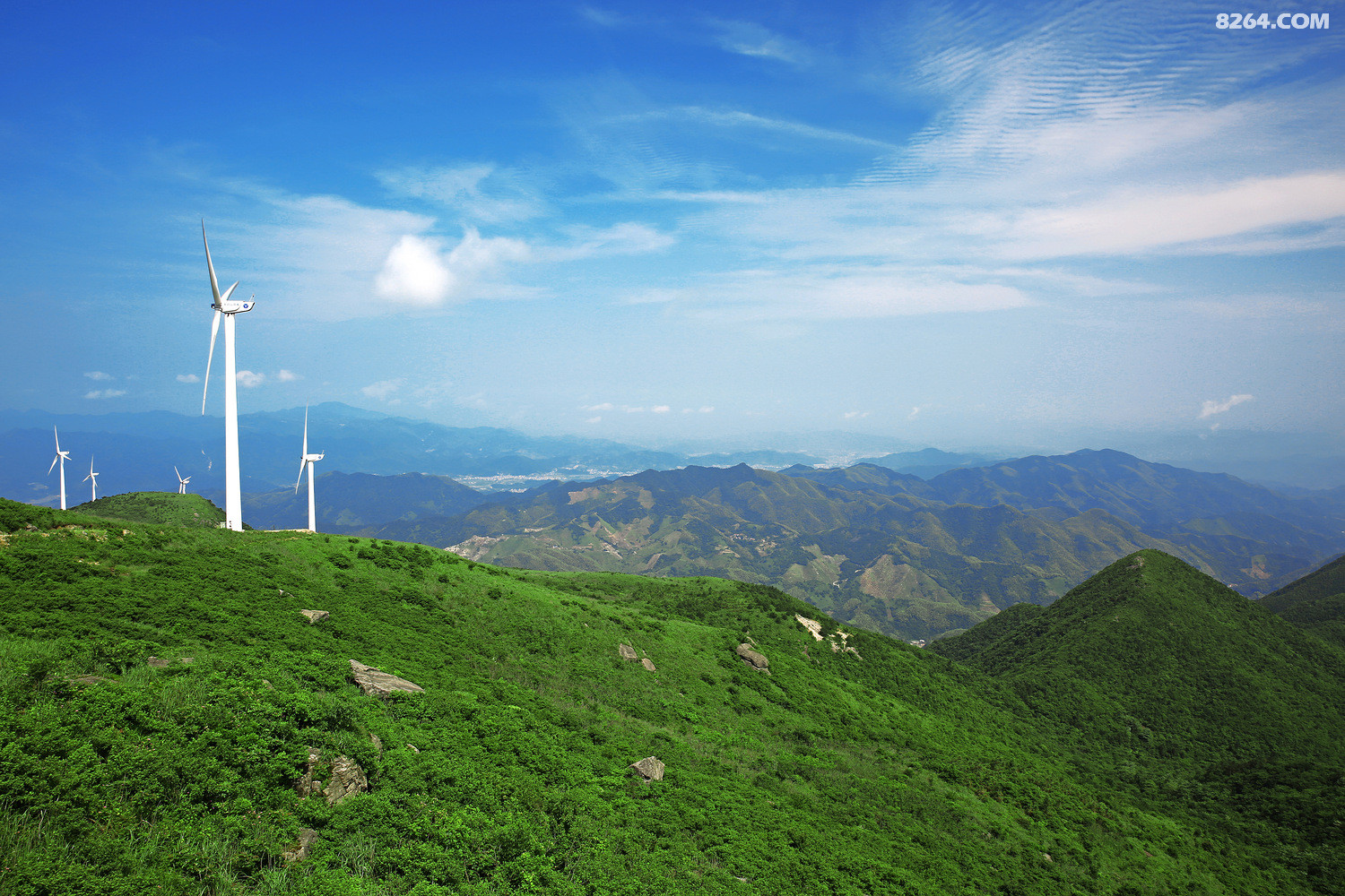 浙江金华东白山摄于2016年6月