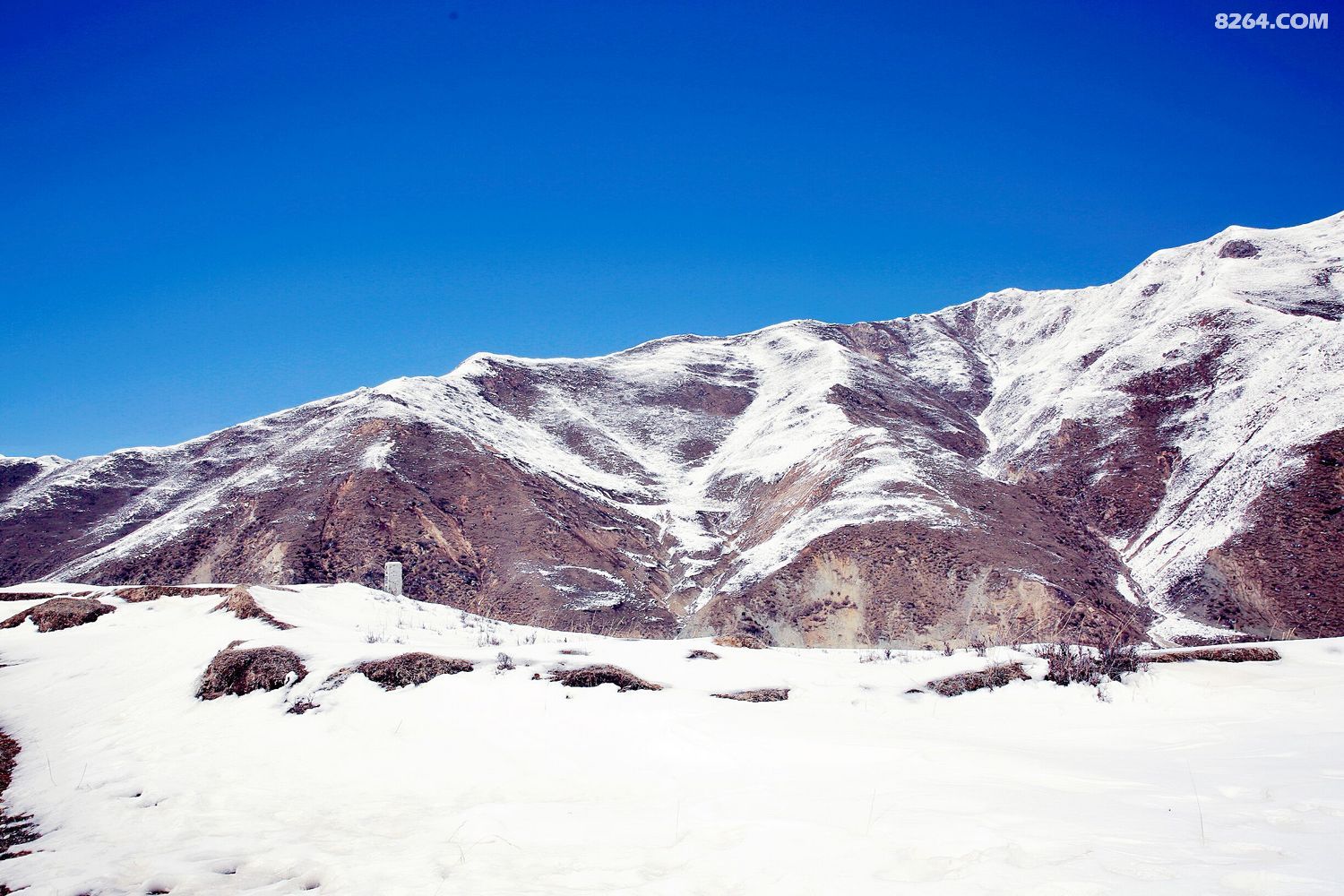 青海拉脊山——摄于2016年4月