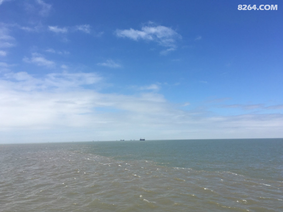 台风天我在枸杞岛避风头