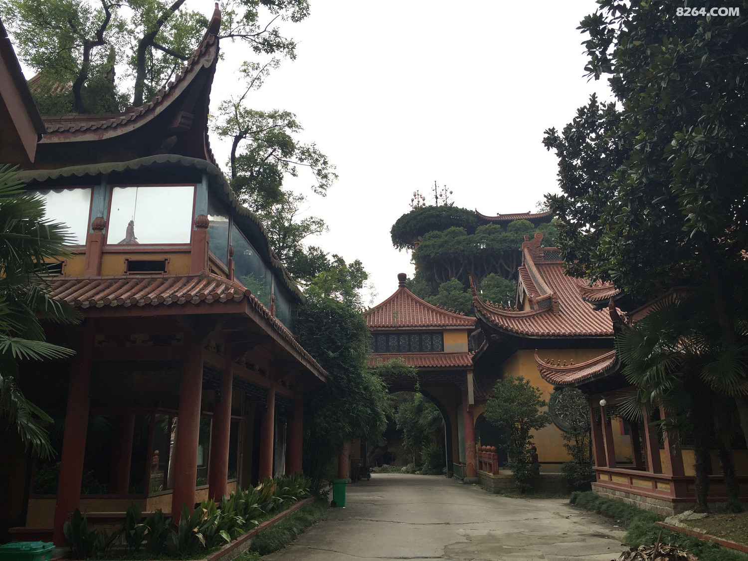 无锡洛社菩提仙境