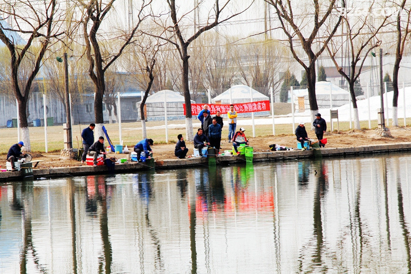 2016 蟹岛春季休闲垂钓比赛回顾 - 第1页 - 钓鱼|水上 - 8264户外
