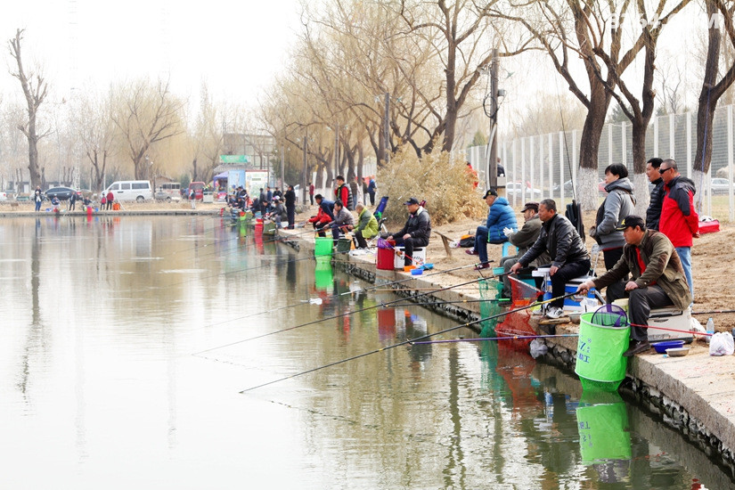 2016 蟹岛春季休闲垂钓比赛回顾 - 第1页 - 钓鱼|水上 - 8264户外