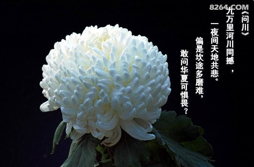 沉痛哀悼729三峰遇难驴友全力救援挥泪告慰亡灵