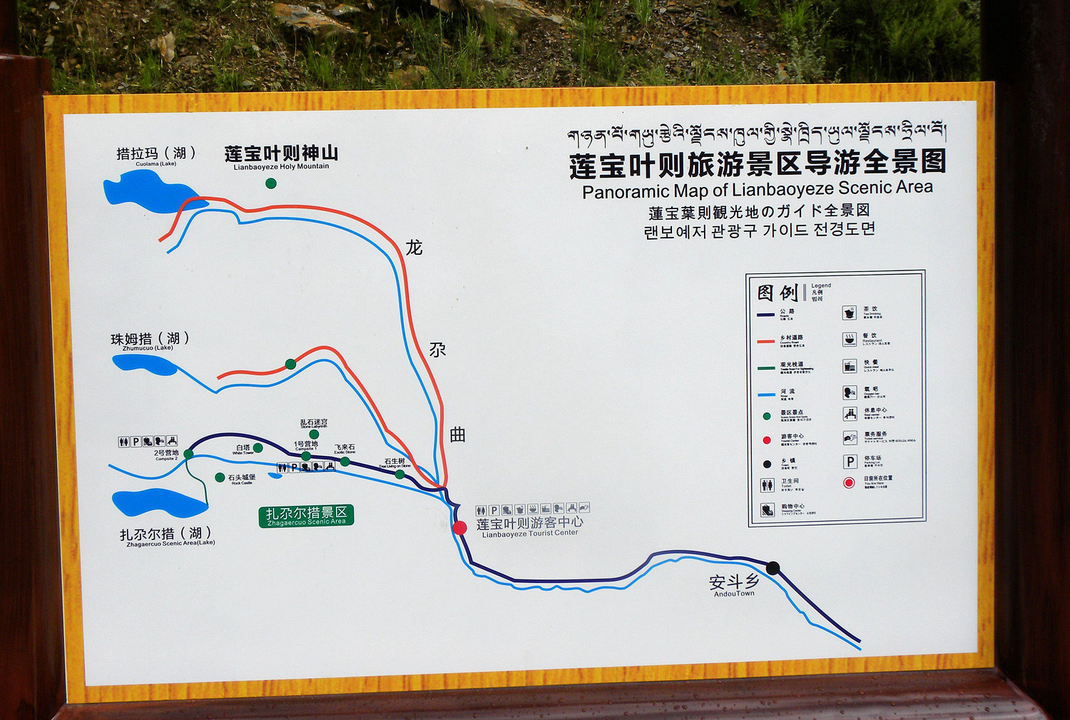 误入仙境——莲宝叶则