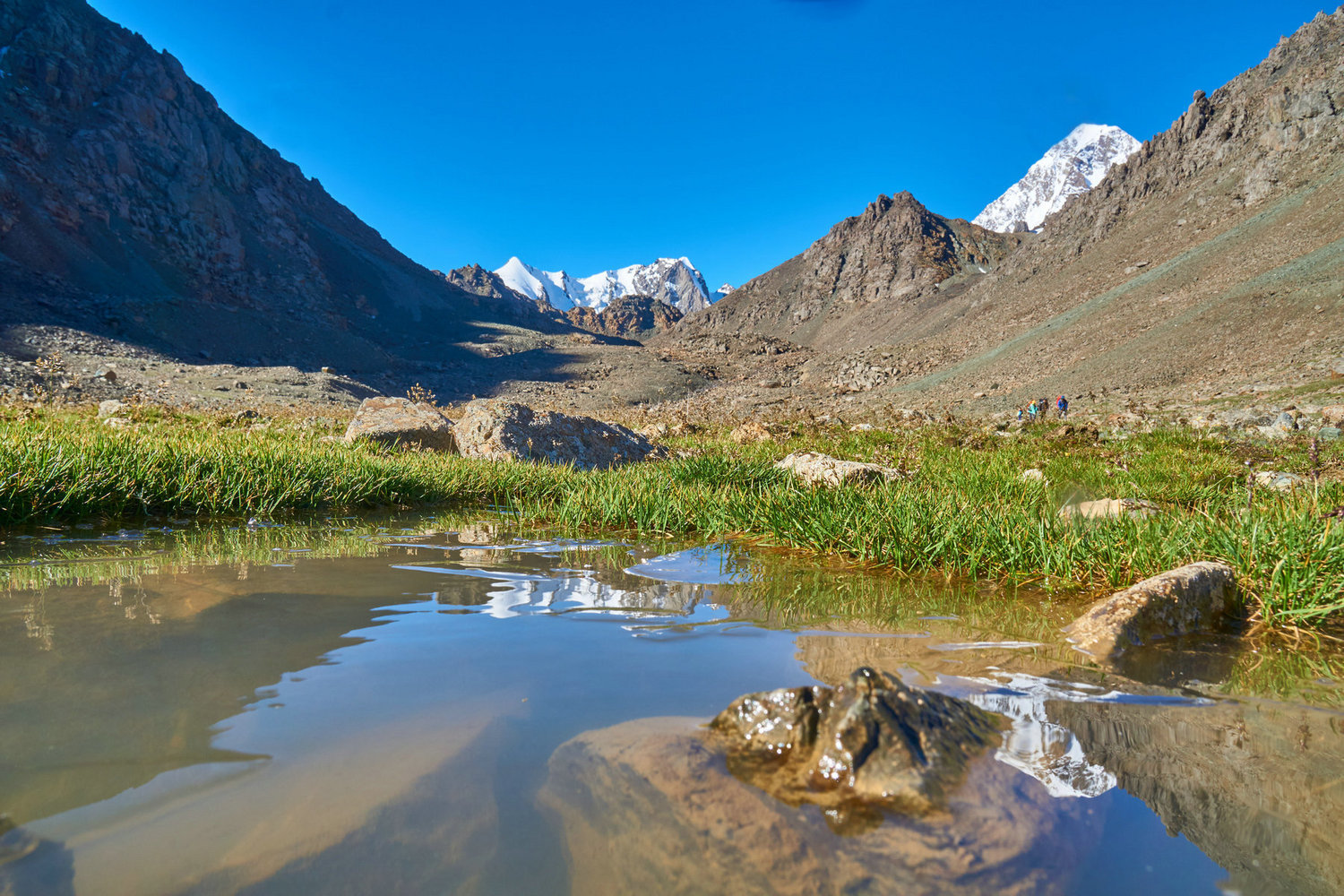 上冰川每天依旧都是乱石堆上行走,废脚废人.