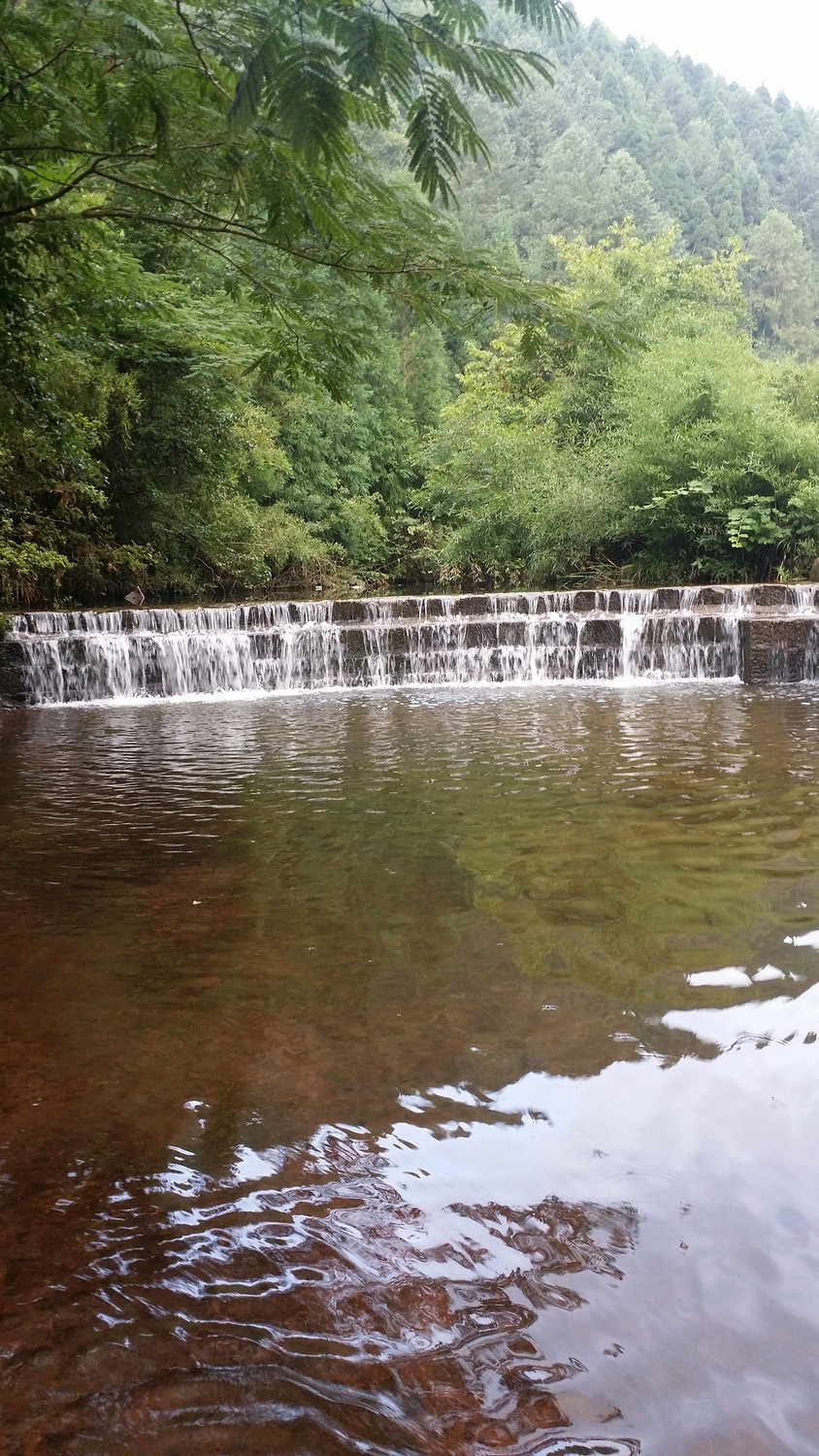 2016年夏游贵州习水飞鸽林场