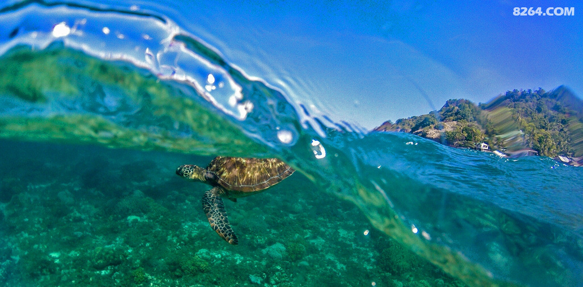 菲律宾杜马盖地七天六晚潜水休闲之旅