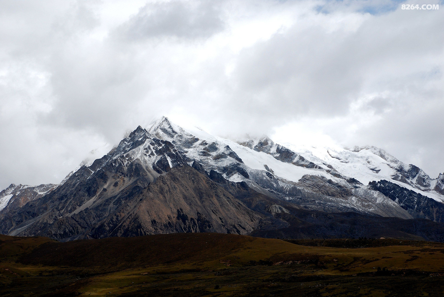 DSC_0122.JPG