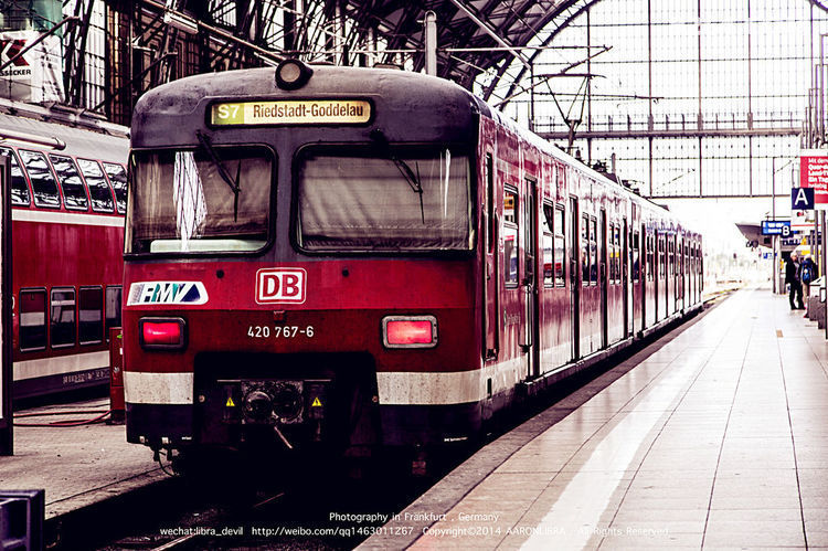 97.jpg