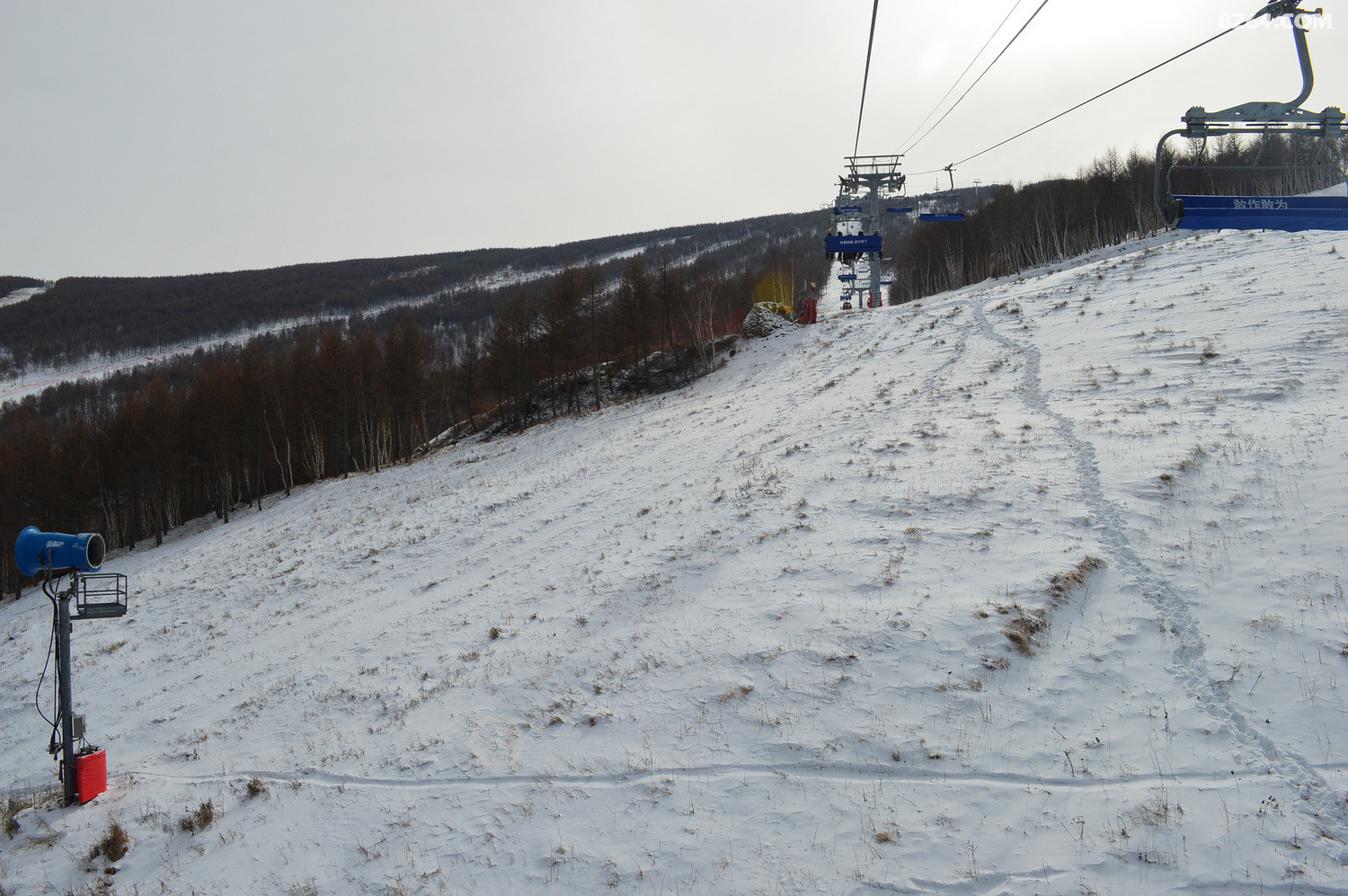万龙就是万龙今天开了三条金银威小龙期待大奔头啊