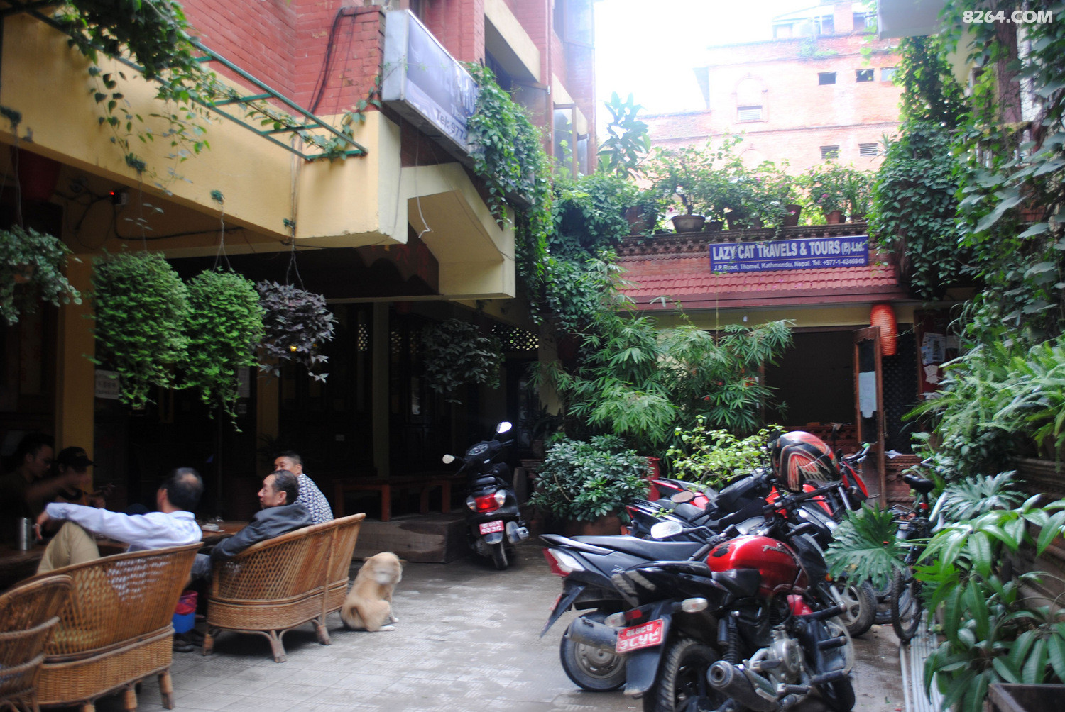 DSC_0071.JPG