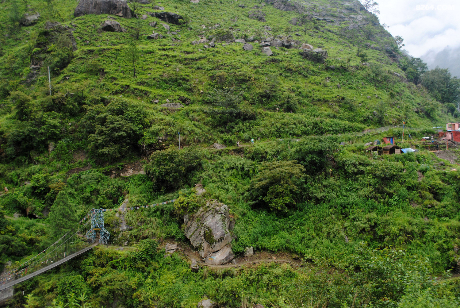 DSC_0038.JPG