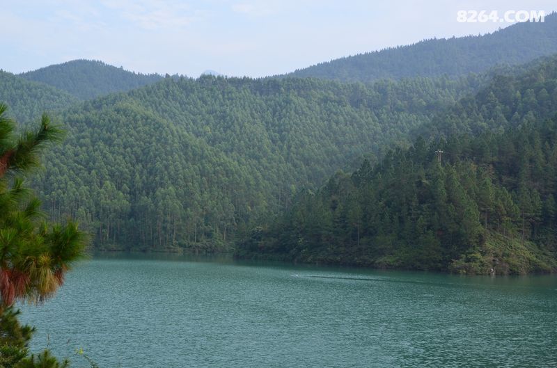 DSC_9615.JPG