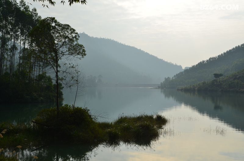 DSC_9656.JPG