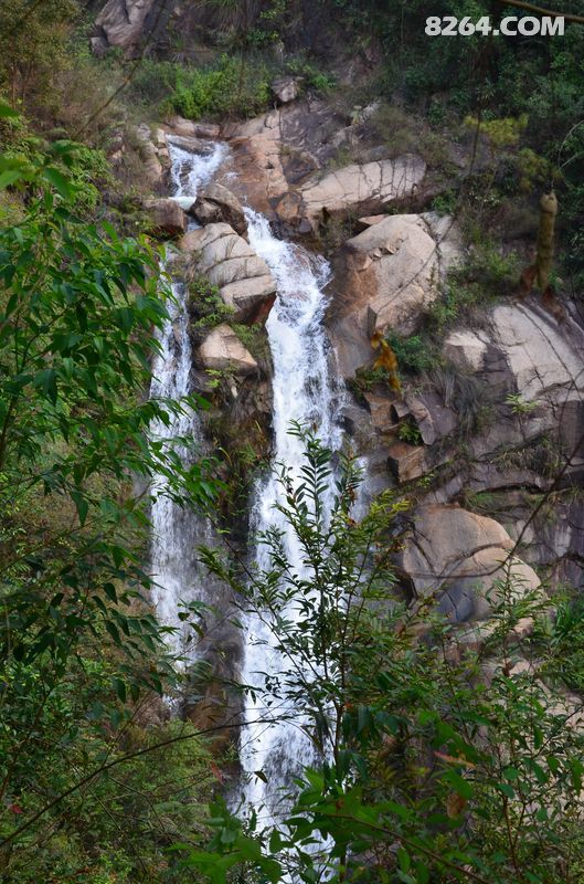 DSC_9681.JPG