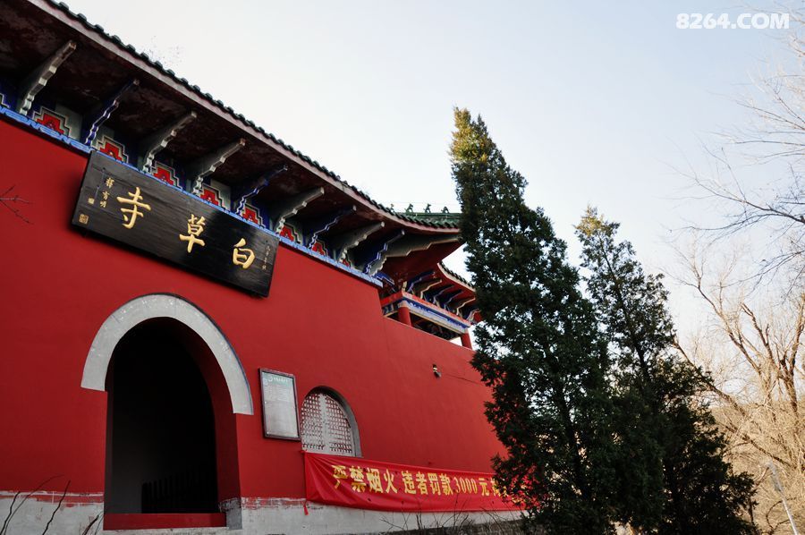 封龙山上白草寺隋槐千年仍葱郁
