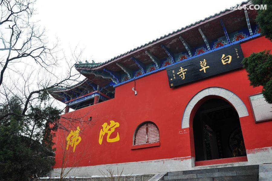 封龙山上白草寺隋槐千年仍葱郁