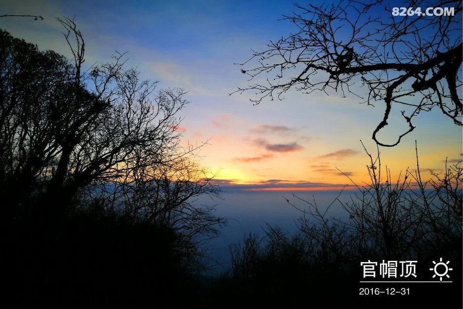 媚驴游记37官帽顶的牛屎咖啡