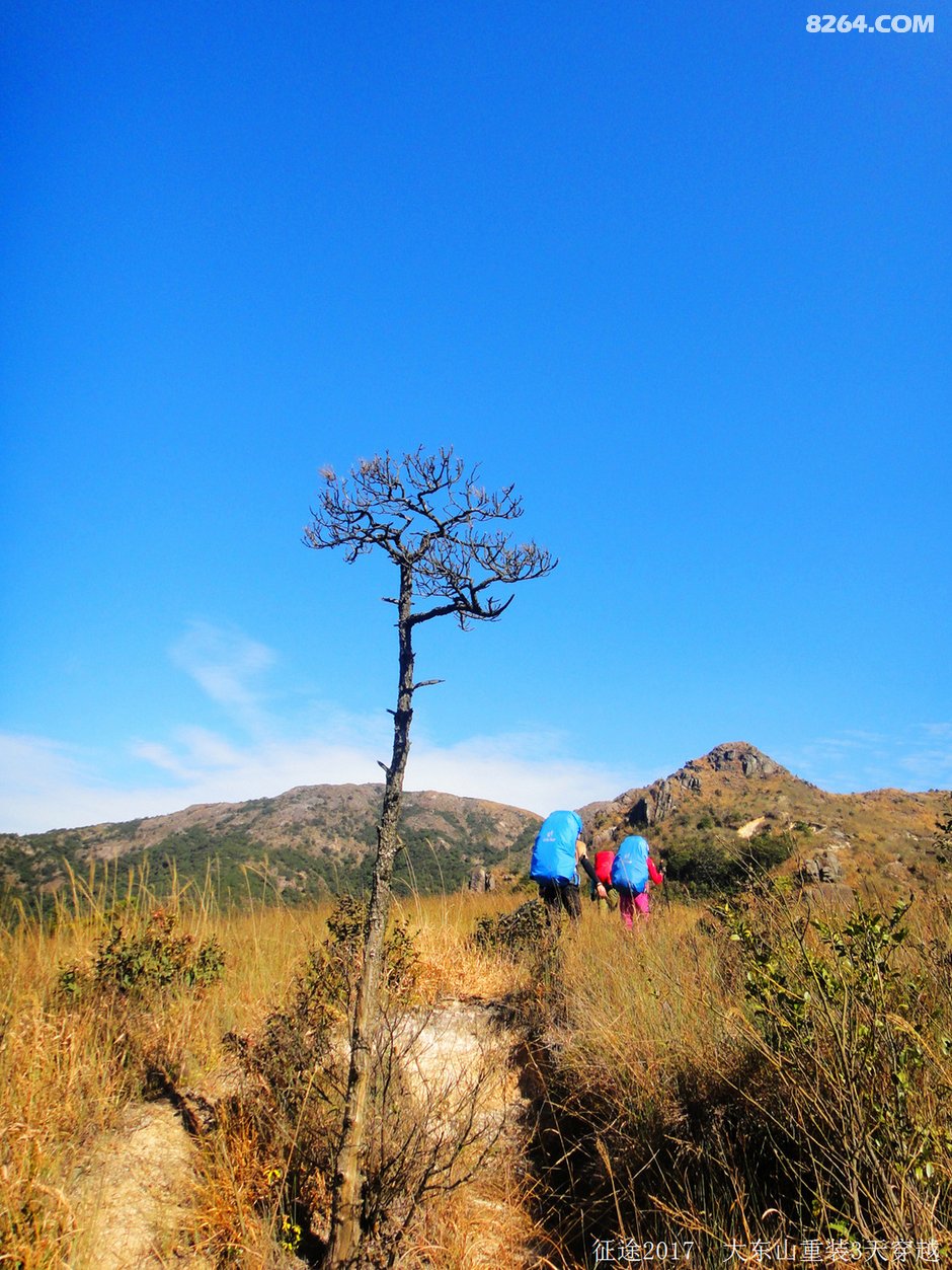 大东山上太阳正红绝妙风景这边毒好