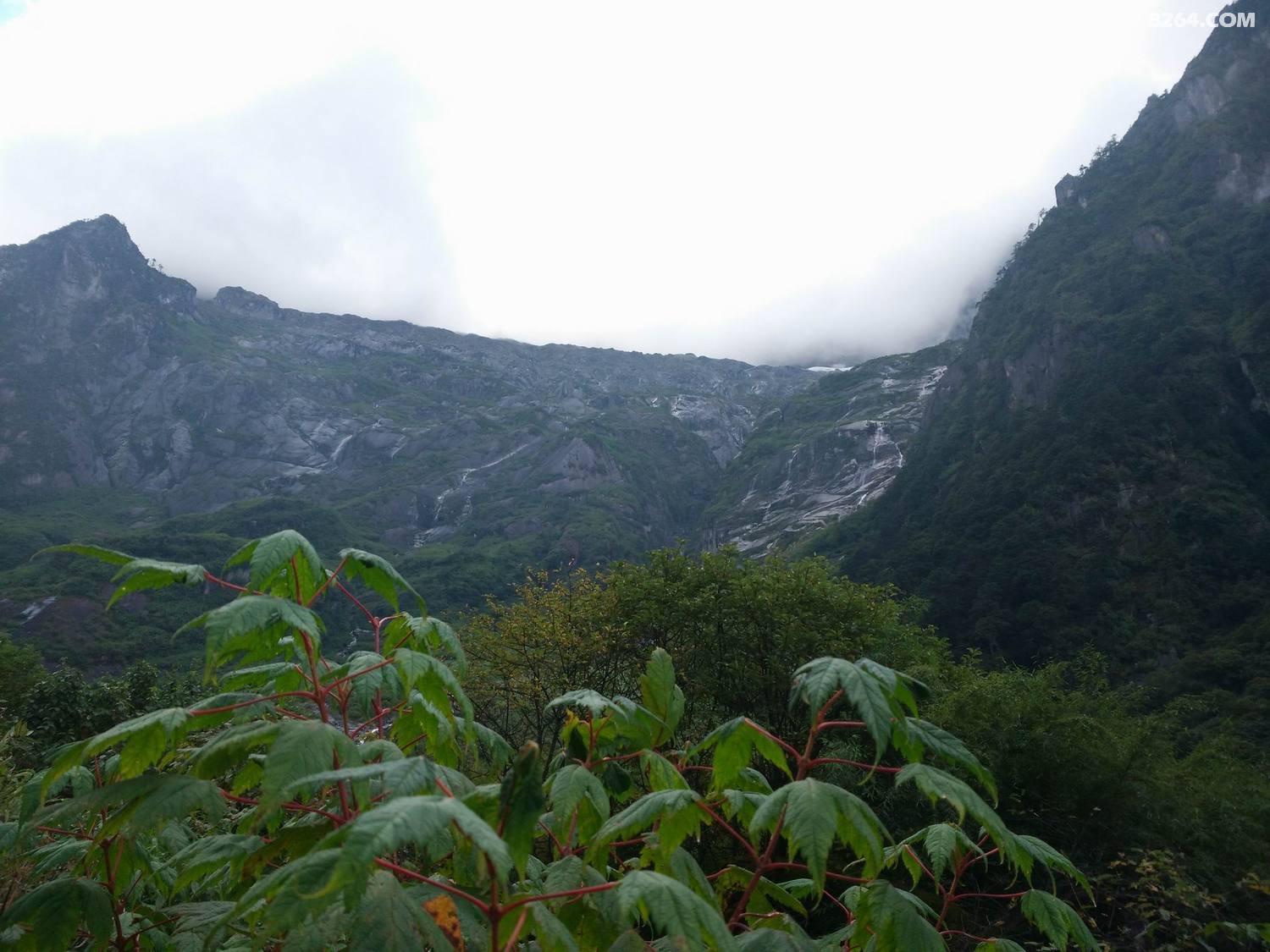 剑走偏锋--高黎贡山主峰行