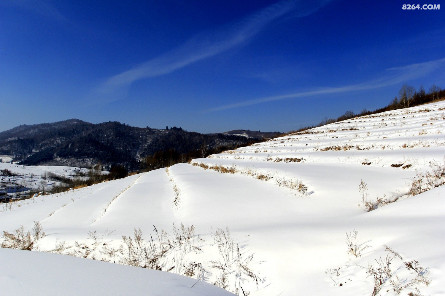 白山户外群八里坡联欢腐败放爬犁