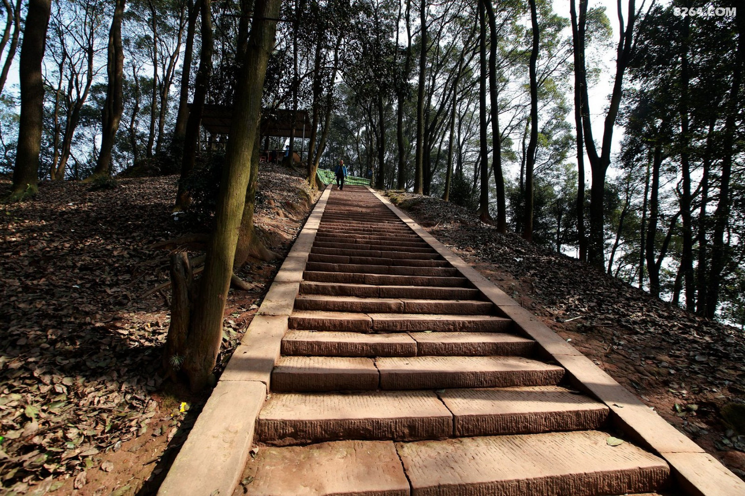 探访合江笔架山法王寺