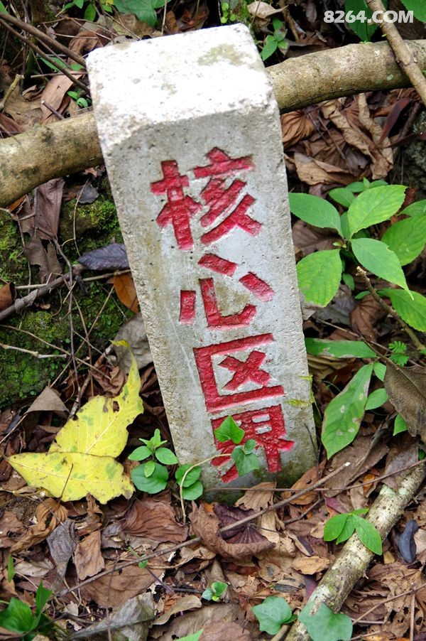 IMGP7992.JPG