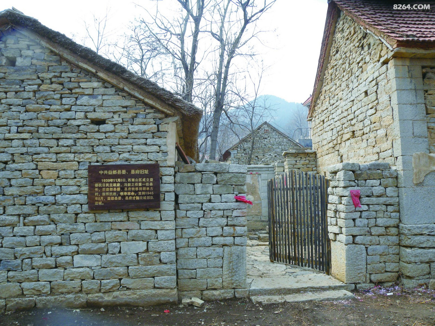 սʱڣй.JPG