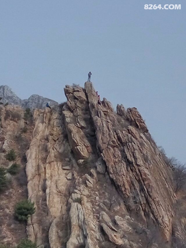 QQͼƬ20170328161603.jpg