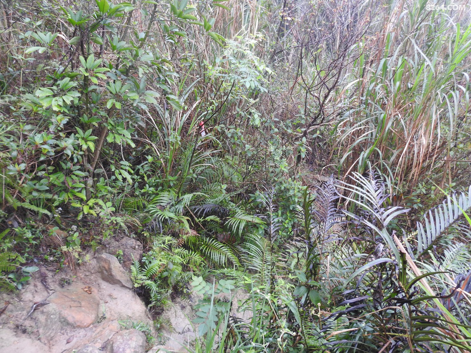 DSCN2410.JPG
