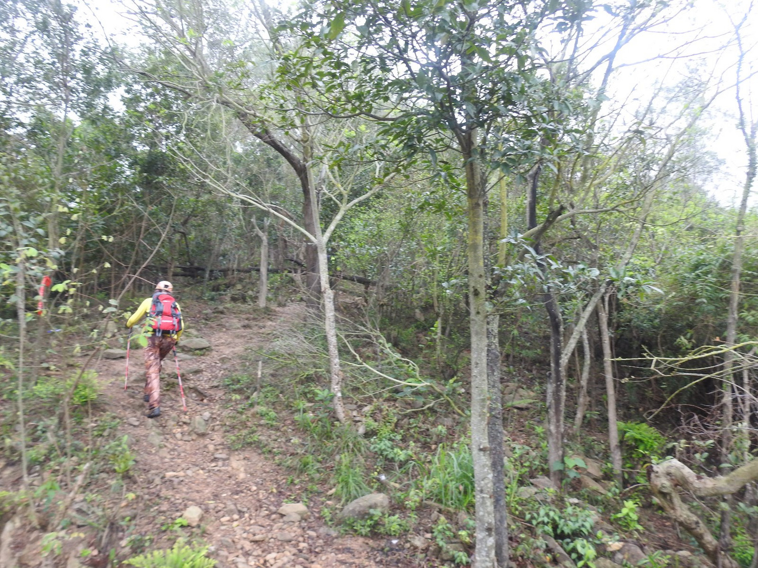 DSCN2415.JPG