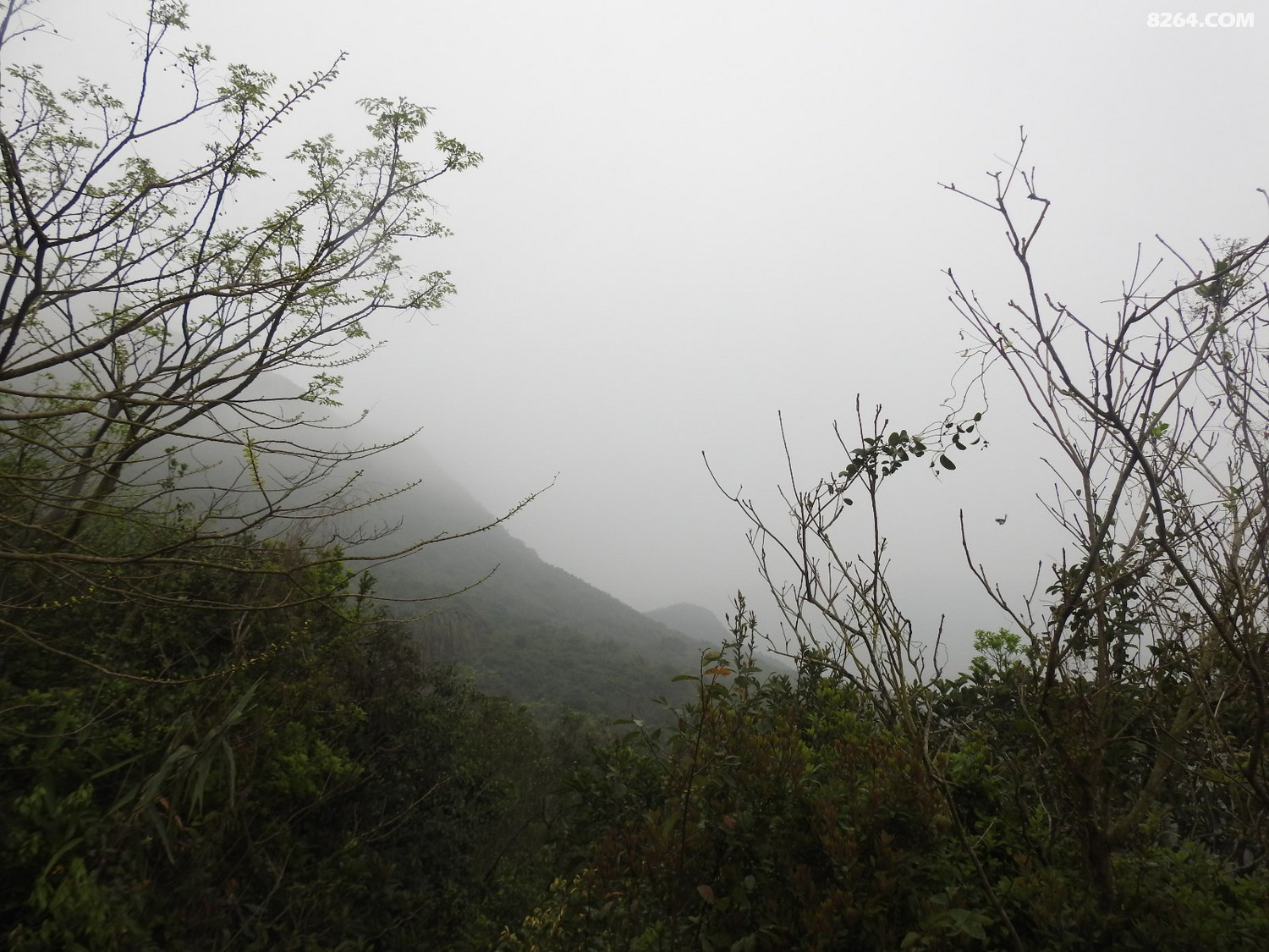 DSCN2417.JPG