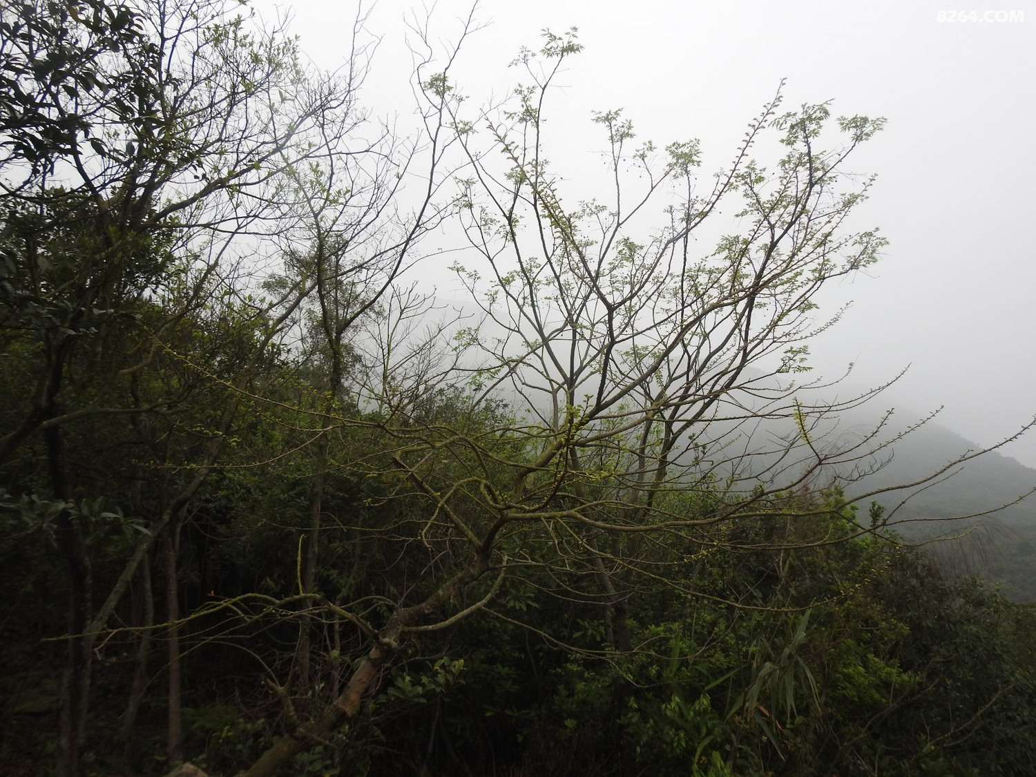 DSCN2418.JPG