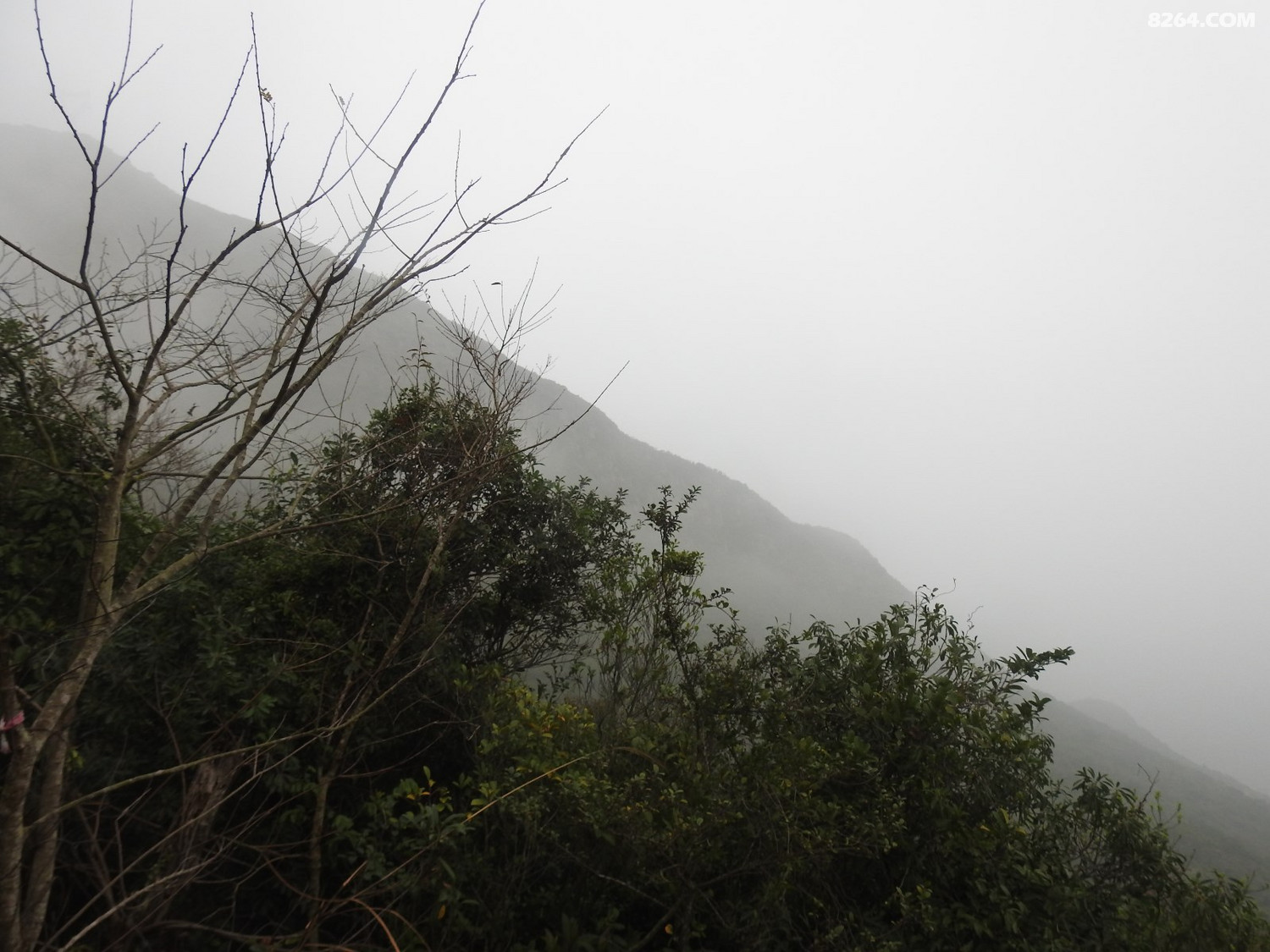 DSCN2425.JPG