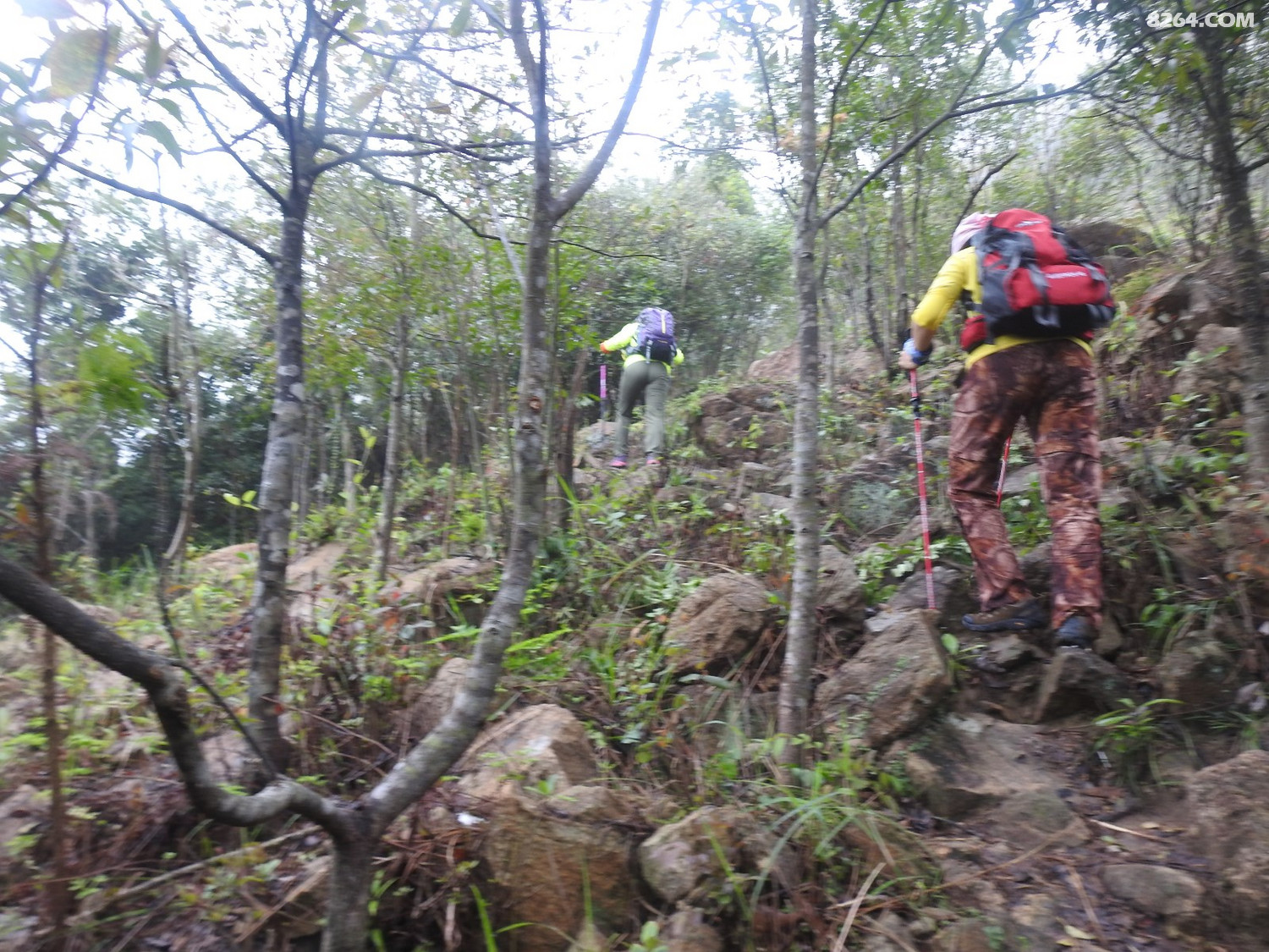 DSCN2430.JPG