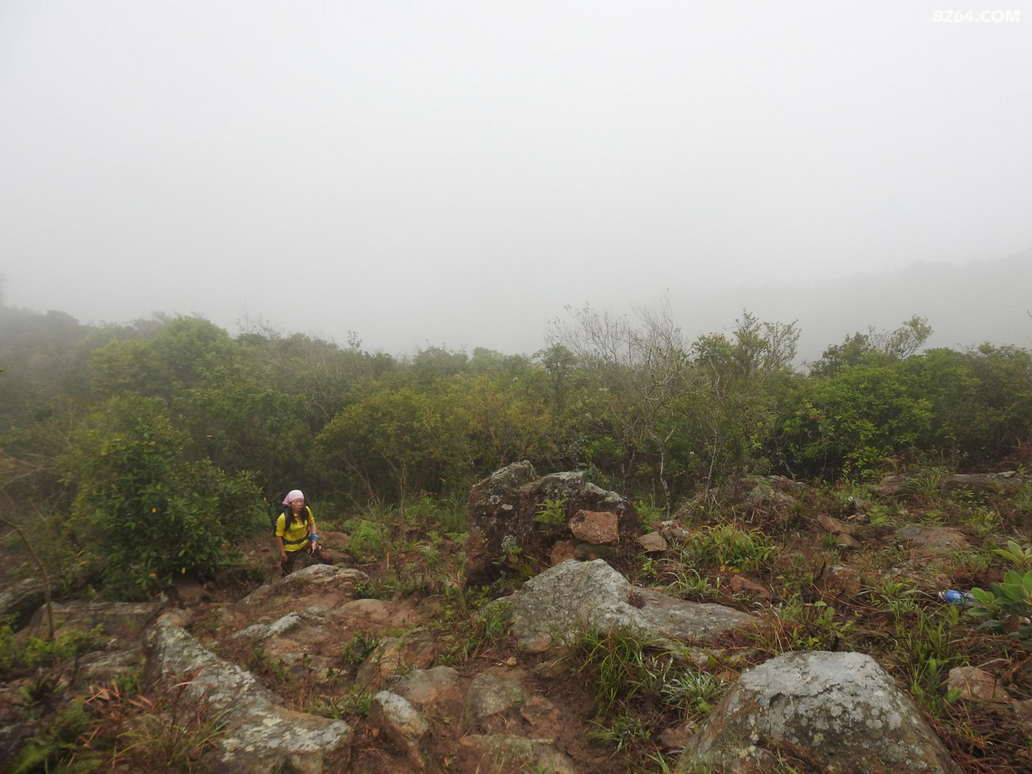 DSCN2436.JPG