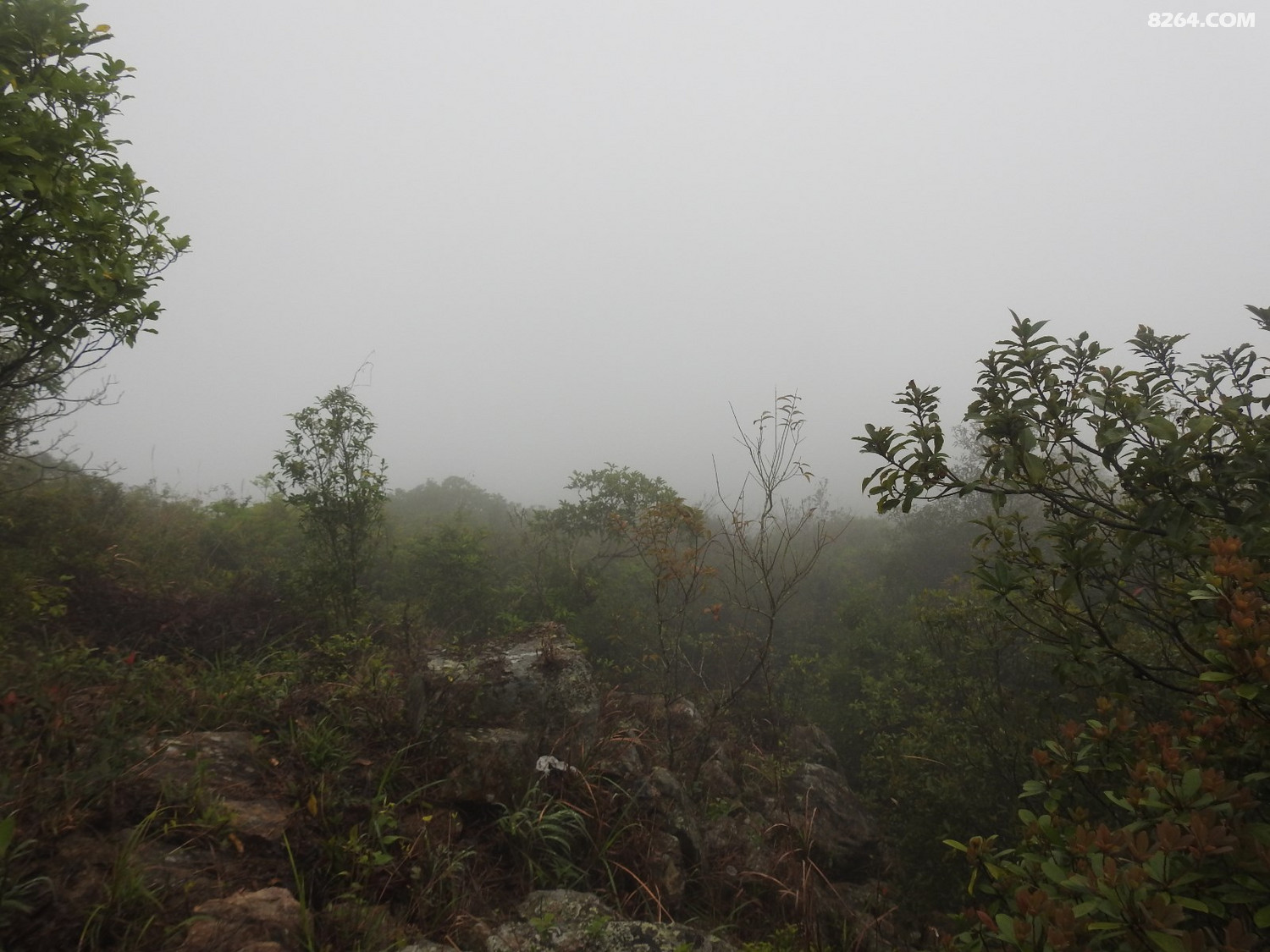 DSCN2439.JPG