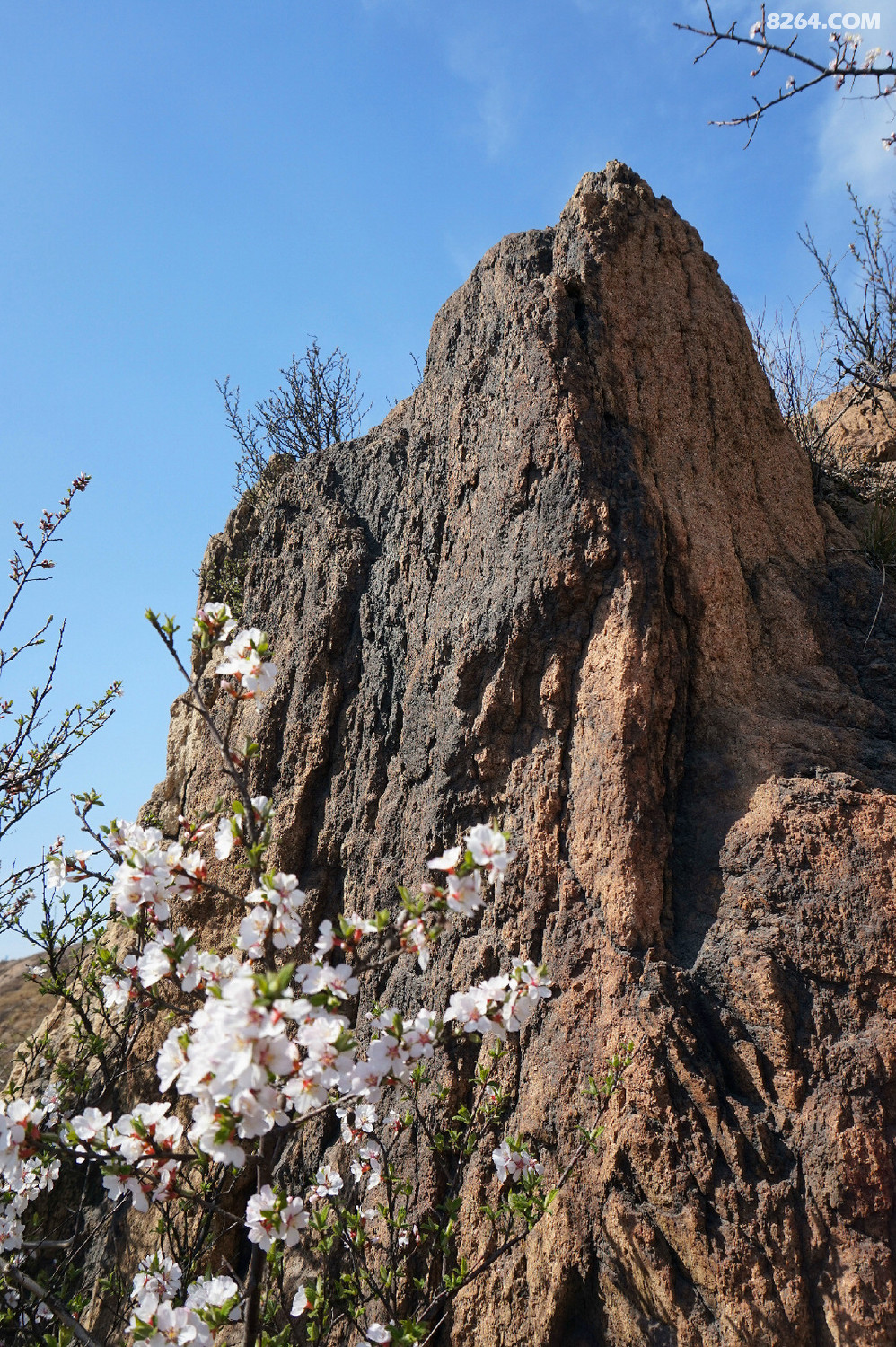 雷达山辽阳一日穿越林子户外第344次出行20170409