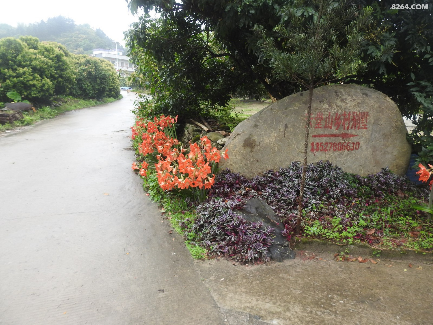DSCN4013.JPG